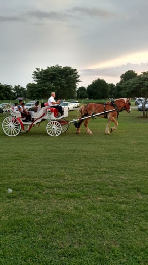 Gallery photo 1 of Mississippi Smooth Carriage Service.llc