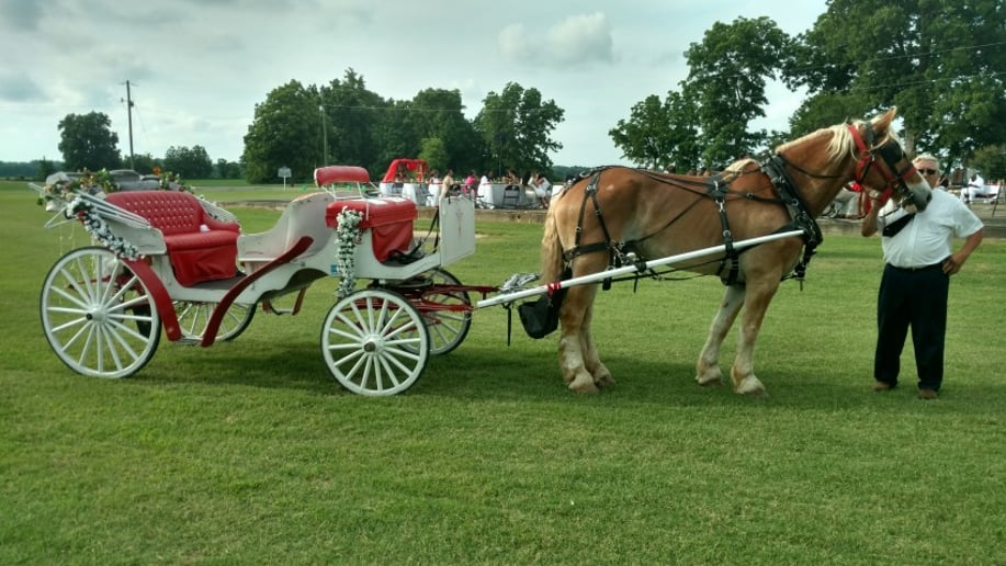 Gallery photo 3 of Mississippi Smooth Carriage Service.llc
