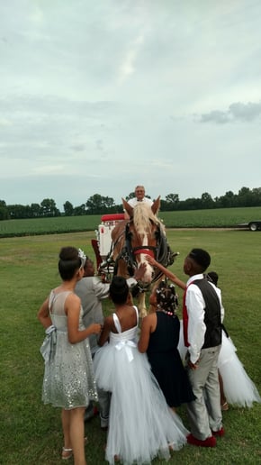 Gallery photo 4 of Mississippi Smooth Carriage Service.llc