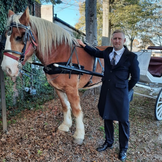 Gallery photo 6 of Mississippi Smooth Carriage Service.llc