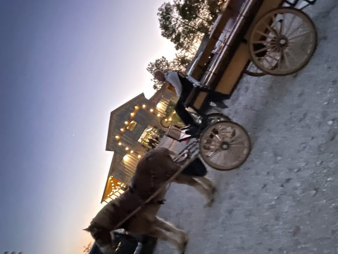Gallery photo 7 of Mississippi Smooth Carriage Service.llc