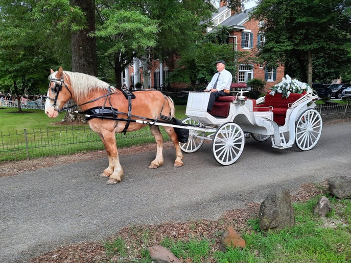 Gallery photo 9 of Mississippi Smooth Carriage Service.llc