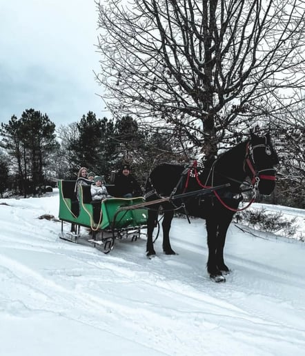 Gallery photo 10 of Mississippi Smooth Carriage Service.llc