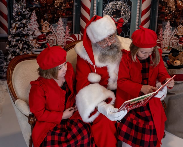 Gallery photo 2 of Mistletoe Workshop - Holiday Performers