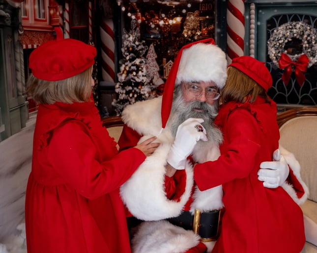 Gallery photo 12 of Mistletoe Workshop - Holiday Performers