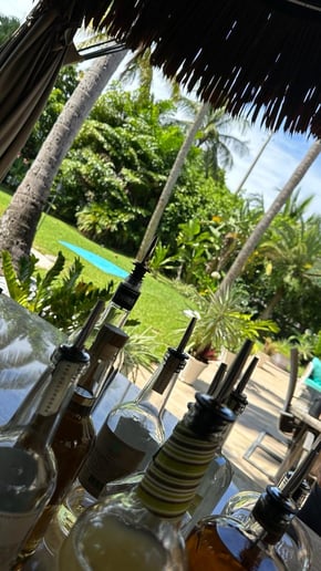 Gallery photo 27 of Mobile Bartenders