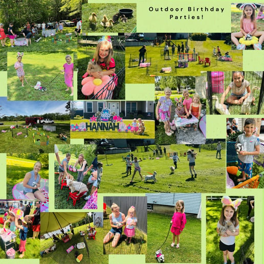 Gallery photo 1 of Blossoms & Buns Rabbitry