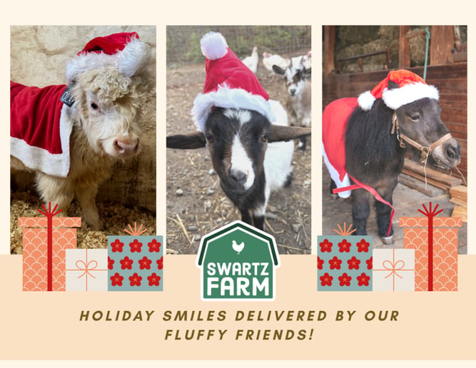 Gallery photo 1 of Swartz Farm Mobile Petting Zoo
