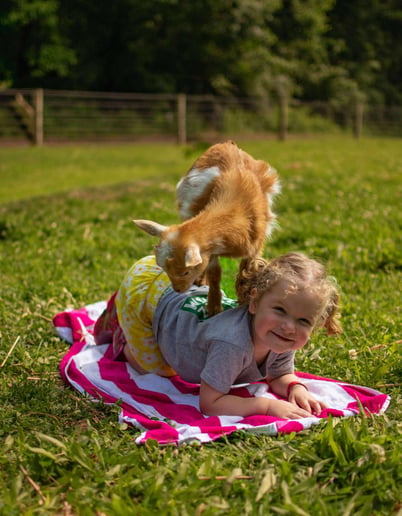 Gallery photo 6 of Swartz Farm Mobile Petting Zoo