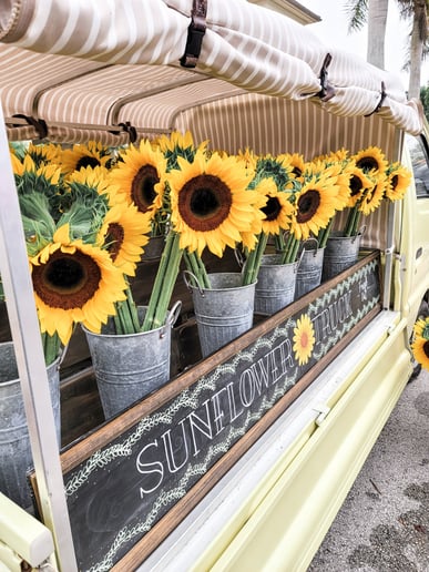 Gallery photo 4 of Mobile Pop Up Sunflower (Flower Truck)