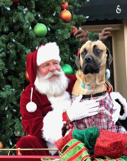 Gallery photo 1 of Mobile Santa TX
