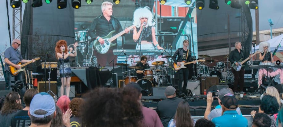 Gallery photo 8 of Mock Lobster-Austin's B-52s Tribute Band