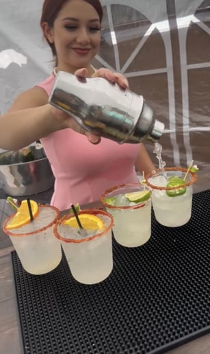 Gallery photo 1 of Modelo Bartending LLC