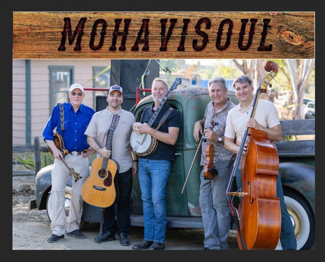 Gallery photo 7 of Mohavi Soul