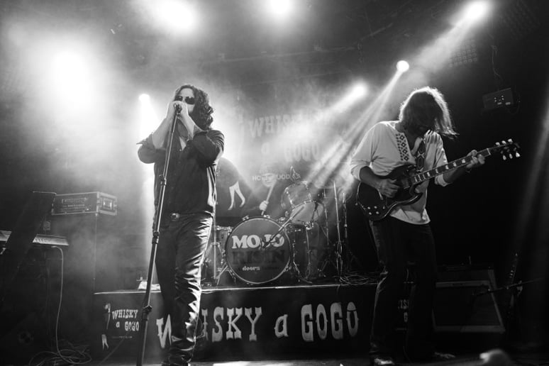 Gallery photo 9 of Mojo Risin - A Tribute to the Doors
