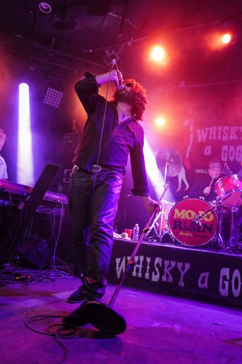 Gallery photo 10 of Mojo Risin - A Tribute to the Doors