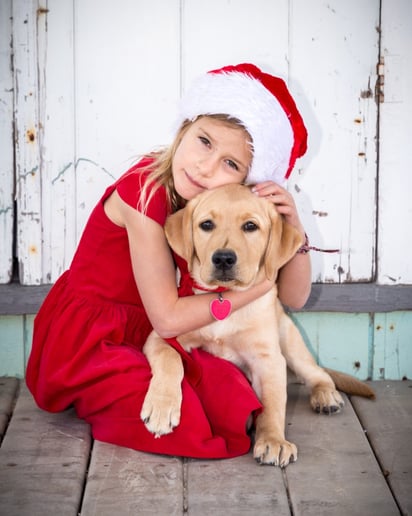 Gallery photo 6 of Molinoff Photography