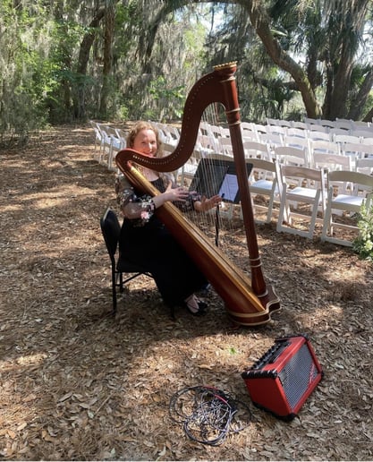 Gallery photo 3 of Molly Ronan Harpist