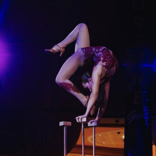 Gallery photo 3 of Naranzul Contortionist & Handbalancer