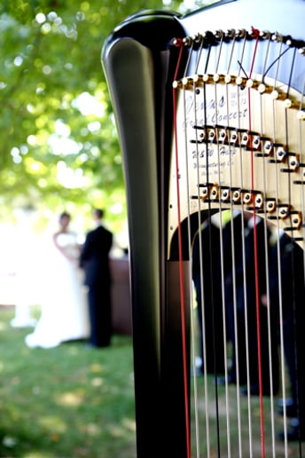Gallery photo 1 of Monika Vasey, harpist