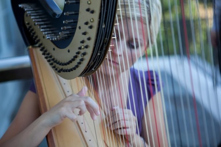 Gallery photo 2 of Monika Vasey, harpist
