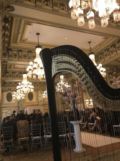Gallery photo 6 of Monika Vasey, harpist