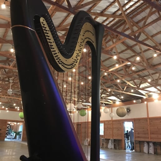 Gallery photo 8 of Monika Vasey, harpist