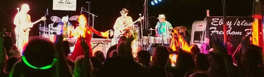 Gallery photo 10 of Moon Daddy Band