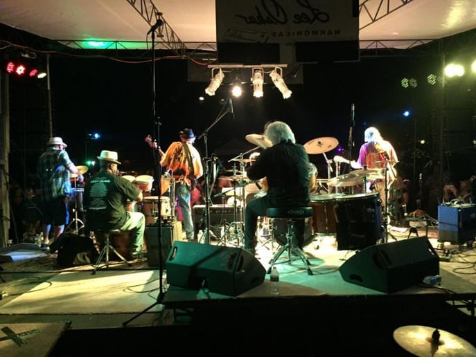 Gallery photo 6 of Moon Daddy Band