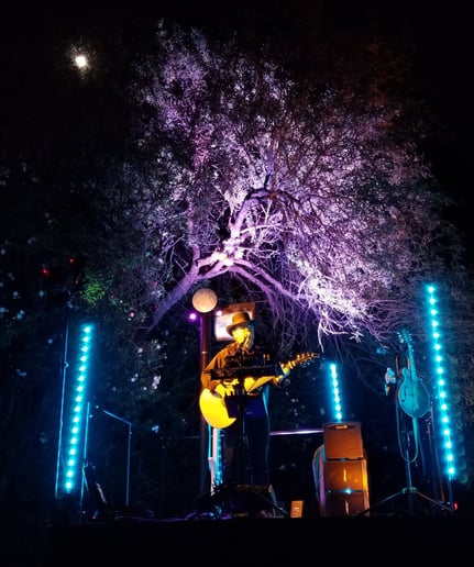 Gallery photo 3 of Moon Dog