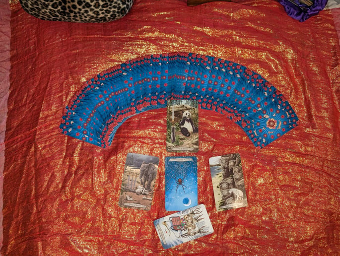 Gallery photo 17 of Moon Fire Tarot & Rune Stone Reader