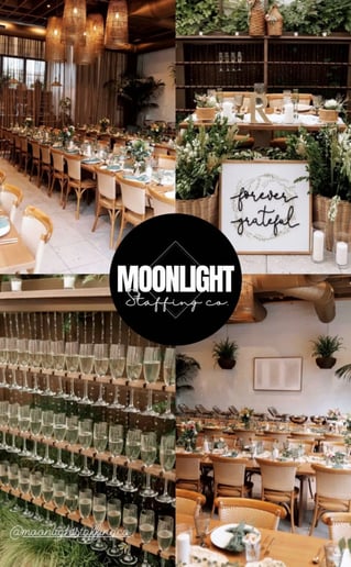 Gallery photo 9 of Moonlight Staffing Co