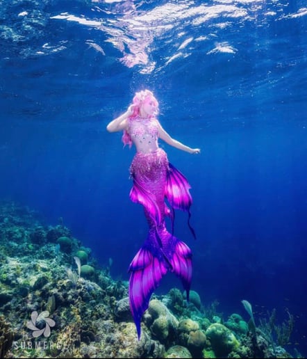 Gallery photo 1 of Moonstone Mermaids