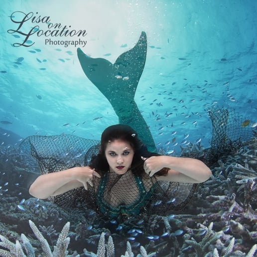 Gallery photo 5 of Moontower Mermaid