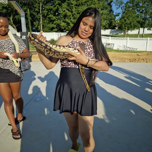 Gallery photo 4 of Mor-Phor-us Snake Shows