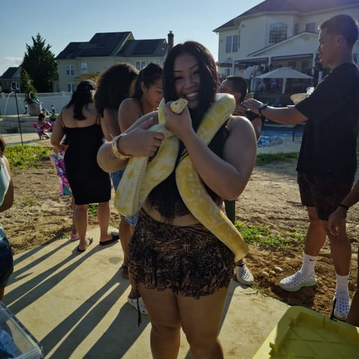 Gallery photo 9 of Mor-Phor-us Snake Shows