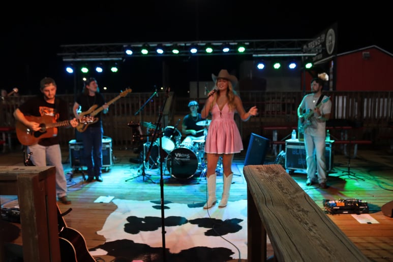 Gallery photo 1 of Morgan Higman & The Sticks