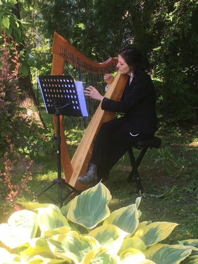Gallery photo 7 of Morningside Music, Harpist Sohayla Smith
