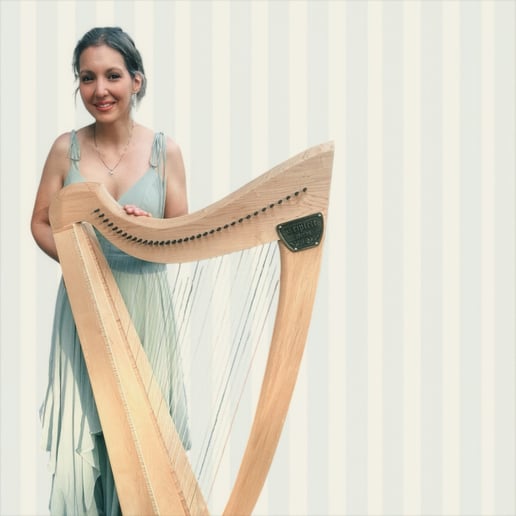 Gallery photo 6 of Morningside Music, Harpist Sohayla Smith