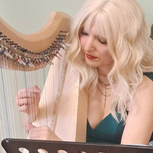 Gallery photo 4 of Morningside Music, Harpist Sohayla Smith