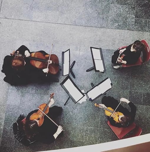 Gallery photo 2 of Mosaic Musicians