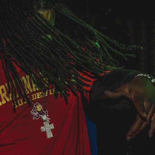 Gallery photo 8 of Moss Da Beast
