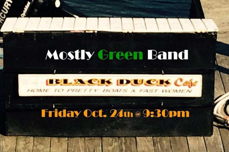 Gallery photo 9 of Mostly Green Band