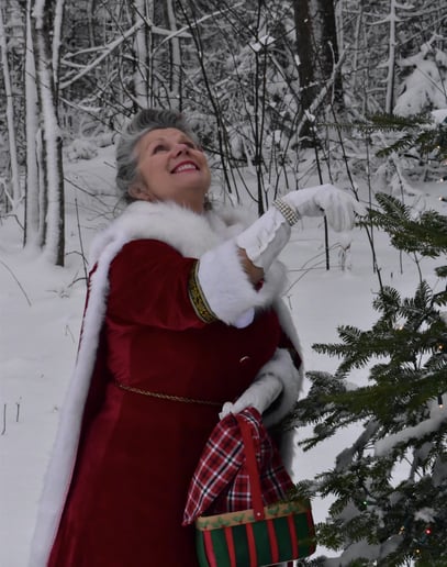 Gallery photo 1 of Mother Christmas