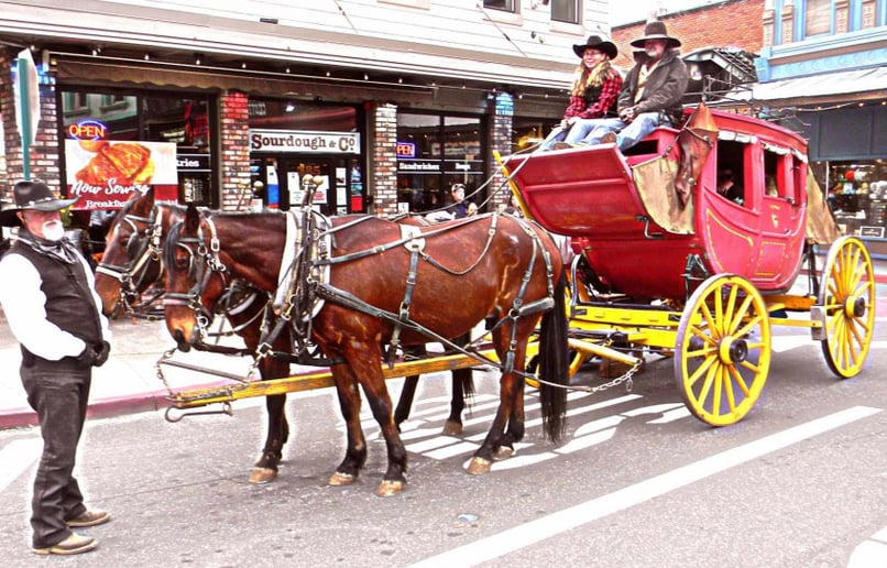 Gallery photo 2 of Motherlode Coach & Carriage