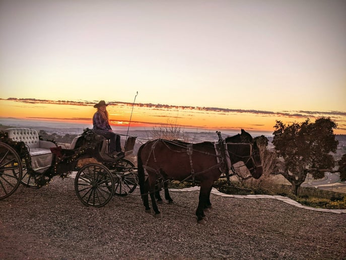 Gallery photo 3 of Motherlode Coach & Carriage