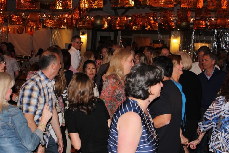 Gallery photo 6 of MPulse Band