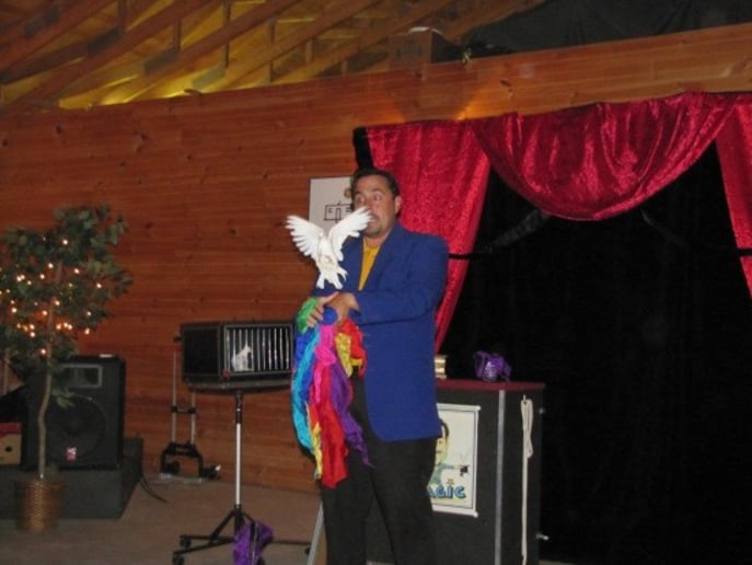 Gallery photo 11 of Mr Magic