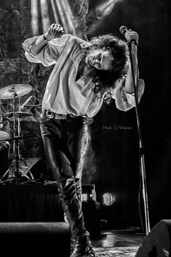 Gallery photo 2 of Mr Mojo Risin