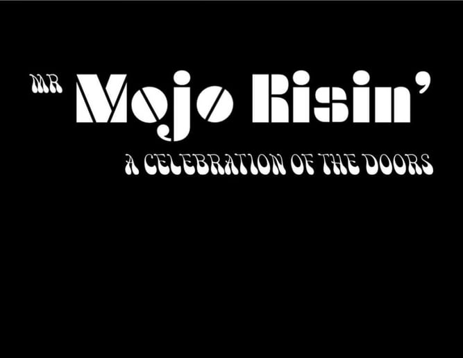 Gallery photo 6 of Mr Mojo Risin